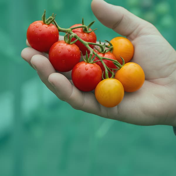 AgTech & FoodTech